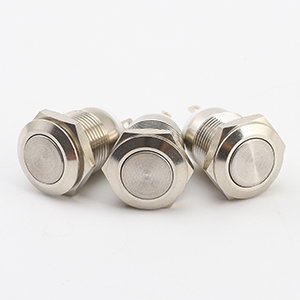 Angel Eye DC 24V 19mm SPDT Momentary Stainless Steel Push Button Switch