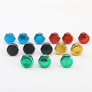 19mm Momentary Push Button Switch On Off Stainless Steel with colorful sheel