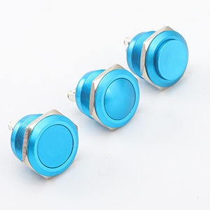 19mm Momentary Push Button Switch On Off Stainless Steel with colorful sheel