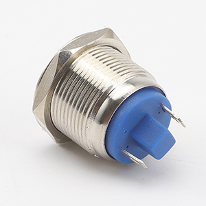 19mm Momentary Stainless Steel Metal Push Button Switch Waterproof Flat Top 12V 24V 36 DC
