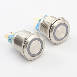 22mm Momentary Push Button Switch 12V Angel Eye LED Waterproof Stainless Steel Round Metal Self-Reset