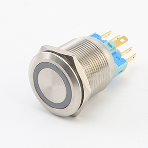 22mm Momentary Push Button Switch 12V Angel Eye LED Waterproof Stainless Steel Round Metal Self-Reset